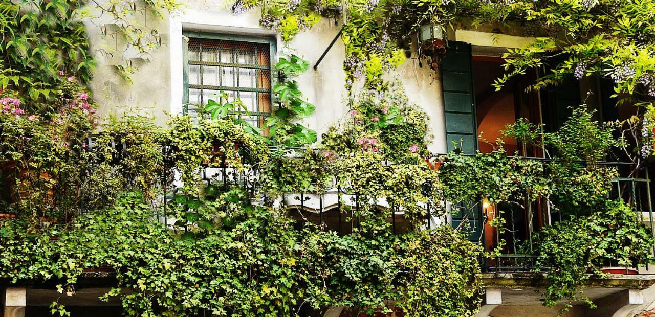 Venezia Ca' Dri Apartment Exteriör bild